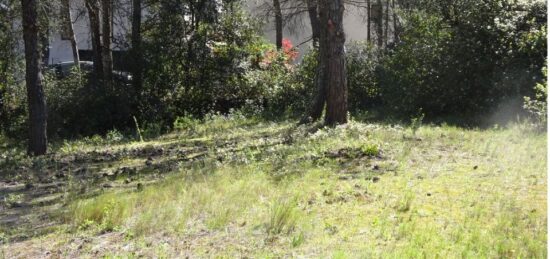 Terrain à bâtir à Badens, Occitanie
