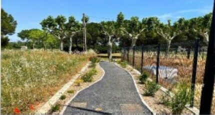 Floure Maison neuve - 2306741-10986annonce120250624adEwG.jpeg Maisons France Confort