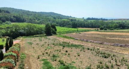 Saint-Martin-de-Villereglan Maison neuve - 2307114-10986annonce120250626HZoS8.jpeg Maisons France Confort