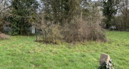 Rouans Maison neuve - 2306582-11110annonce220251015RePBc.jpeg Maisons France Confort