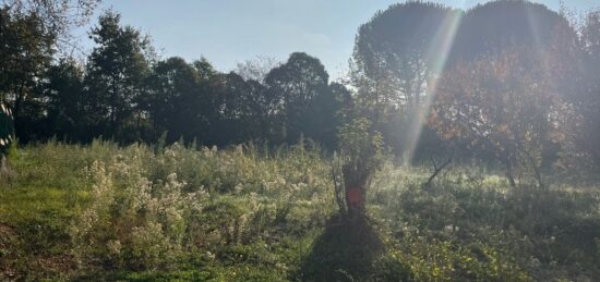 Terrain à bâtir à Albi, Occitanie