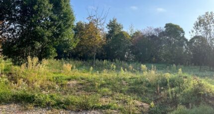 Albi Terrain à bâtir - 2305744-2684annonce320251015A0FVt.jpeg Maisons France Confort