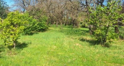 Labastide-du-Temple Terrain à bâtir - 2306258-3575annonce120251015mbklK.jpeg Maisons France Confort