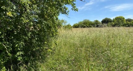 Montpitol Terrain à bâtir - 2312511-11356annonce420251021JEN7h.jpeg Maisons France Confort