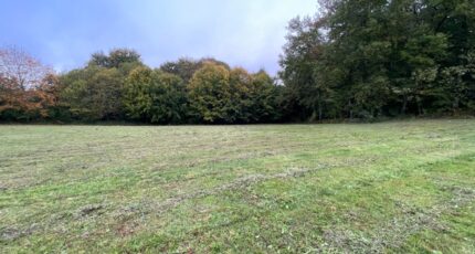 Saint-Léonard-de-Noblat Terrain à bâtir - 2316948-11648annonce120251024XwNZh.jpeg Maisons France Confort