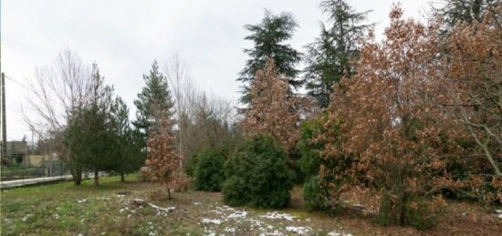 Terrain à bâtir à Villardonnel, Occitanie