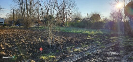 Terrain à bâtir à , Tarn