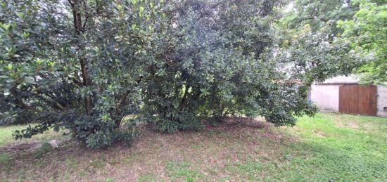 Terrain à bâtir à Plaisance-du-Touch, Occitanie