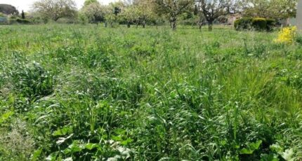 Larra Terrain à bâtir - 2324877-9555annonce120251031UrOdI.jpeg Maisons France Confort