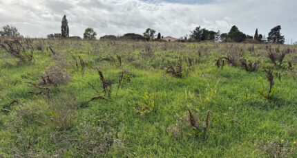 Bazus Terrain à bâtir - 2324885-11356annonce2202510317gWst.jpeg Maisons France Confort