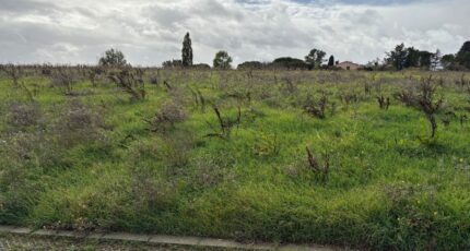 Bazus Terrain à bâtir - 2324885-11356annonce320251031GlMyU.jpeg Maisons France Confort