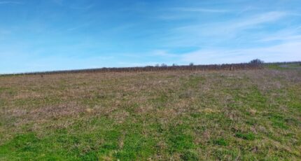 Châteauneuf-sur-Charente Terrain à bâtir - 2328205-11268annonce120251105wSR3I.jpeg Maisons France Confort