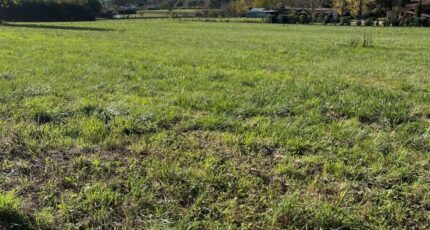 Albi Maison neuve - 2329594-2684annonce320251106Rg3QW.jpeg Maisons France Confort