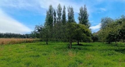 Vaux-sur-Aure Maison neuve - 2301515-11660annonce220251010nJCRm.jpeg Maisons France Confort