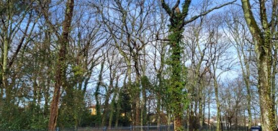 Terrain à bâtir à Audenge, Nouvelle-Aquitaine