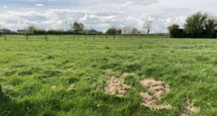 Blairville Terrain à bâtir - 2337087-5719annonce120251113qaqeG.jpeg Maisons France Confort