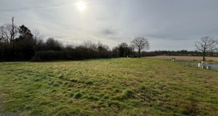 La Membrolle-sur-Longuenée Maison neuve - 2340316-10544annonce120251117a55TG.jpeg Maisons France Confort