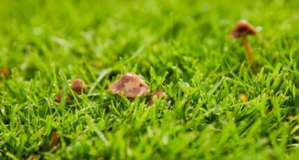 Mios Maison neuve - 2341013-11279annonce120251117baaIA.jpeg Maisons France Confort