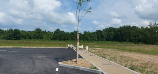 Terrain à bâtir à , Haute-Garonne
