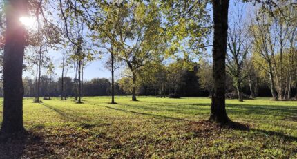 Vertheuil Terrain à bâtir - 2343383-11260annonce120251119O1B9n.jpeg Maisons France Confort