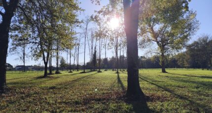 Vertheuil Terrain à bâtir - 2343383-11260annonce220251119NxIaW.jpeg Maisons France Confort