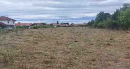 Brézins Terrain à bâtir - 2313304-3618annonce320251022A0qXm.jpeg Maisons France Confort