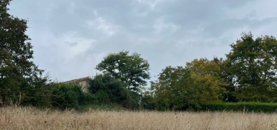 Terrain à bâtir à Castelnau-de-Montmiral, Occitanie