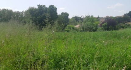 Castelnau-d'Estrétefonds Terrain à bâtir - 2305219-5202annonce220251014lHTHb.jpeg Maisons France Confort