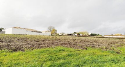 Cussac-Fort-Médoc Terrain à bâtir - 2348802-11260annonce120251210dgeFZ.jpeg Maisons France Confort