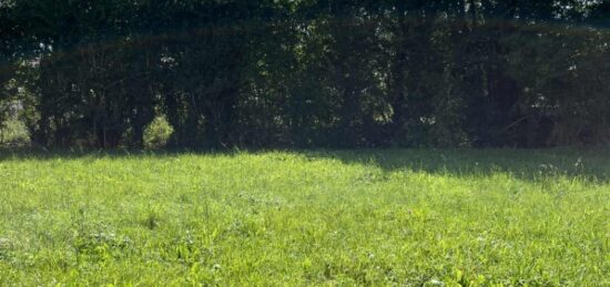 Terrain à bâtir à Le Chevain, Pays de la Loire