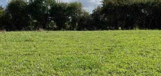 Terrain à bâtir à Saint-Paterne, Pays de la Loire