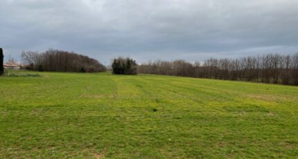 Valence Terrain à bâtir - 2317701-6150annonce120240409QJPan.jpeg Maisons France Confort