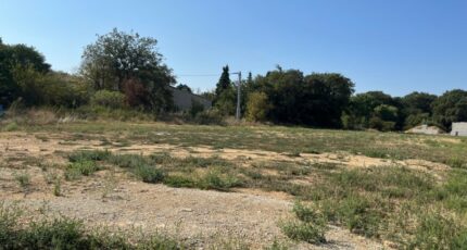 Allan Maison neuve - 2318479-6150annonce12025102602iHs.jpeg Maisons France Confort