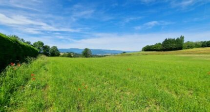 Sillingy Maison neuve - 2352422-10163annonce220260108Cw3XB.jpeg Maisons France Confort