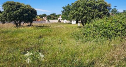 Courthézon Terrain à bâtir - 2354002-695annonce320251201RUmdq.jpeg Maisons France Confort