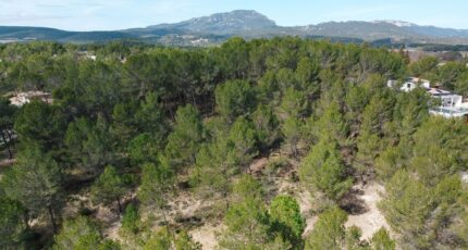 Le Triadou Terrain à bâtir - 2358236-3243annonce220251205iE0IS.jpeg Maisons France Confort