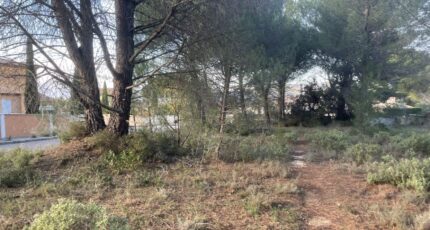 Alleins Terrain à bâtir - 2358453-3969annonce120251205tiirc.jpeg Maisons France Confort