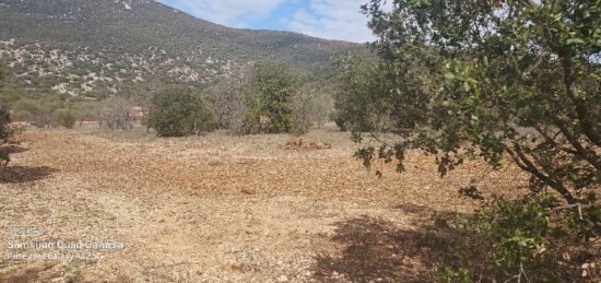 Terrain à bâtir à , Vaucluse