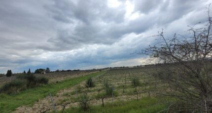 Sainte-Cécile-les-Vignes Maison neuve - 2359092-812annonce3202504077rgcA.jpeg Maisons France Confort