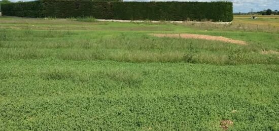 Terrain à bâtir à Anneyron, Auvergne-Rhône-Alpes
