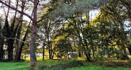 Saint-Sauveur Terrain à bâtir - 2319262-11260annonce120251027v9ZMU.jpeg Maisons France Confort