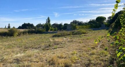 Palaja Terrain à bâtir - 2298139-10986annonce1202510087kcGF.jpeg Maisons France Confort