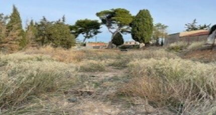 Rieux-Minervois Maison neuve - 2298042-10986annonce120251008i2skP.jpeg Maisons France Confort