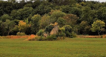 Leuc Maison neuve - 2330516-10986annonce12025071669ftx.jpeg Maisons France Confort