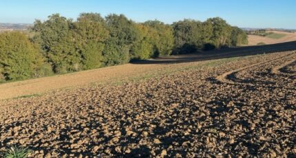 Montbrun-Lauragais Maison neuve - 2359733-5771annonce120251205PseAo.jpeg Maisons France Confort