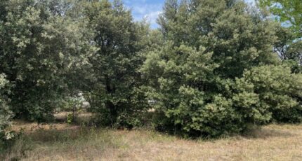 Montségur-sur-Lauzon Maison neuve - 2297727-6150annonce220251007TuwvH.jpeg Maisons France Confort