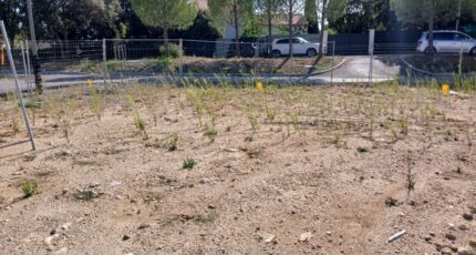 Combaillaux Maison neuve - 2364248-11040annonce1202512102VL8g.jpeg Maisons France Confort