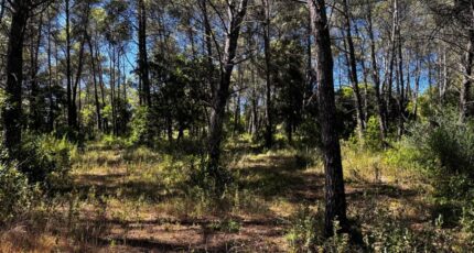 Fréjus Terrain à bâtir - 2333019-3701annonce220251108s2lwH.jpeg Maisons France Confort