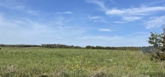 Terrain à bâtir à Saint-Hilaire-de-la-Noaille, Nouvelle-Aquitaine
