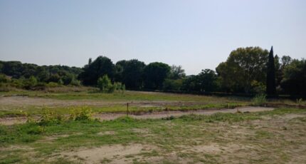 Aubais Maison neuve - 2366536-11040annonce120251212ZS0WW.jpeg Maisons France Confort